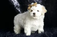 processed/074afcef-7574-4d9d-9caa-7b64469b39ab/listing/89131726-b219-414f-8339-21513b76cf6a/b8e47e5c-f242-4fe0-a6c2-0ac4d23d7d62