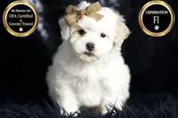 processed/074afcef-7574-4d9d-9caa-7b64469b39ab/listing/89131726-b219-414f-8339-21513b76cf6a/e88248dc-a2ce-46ac-ada9-655c4d4a6594