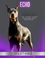 processed/074afcef-7574-4d9d-9caa-7b64469b39ab/listing/8fbcdaa0-d4a6-4f73-b647-69912d31c4af/7fb00b9f-0982-4a65-aacc-db7d4f67361b