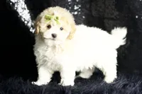 processed/074afcef-7574-4d9d-9caa-7b64469b39ab/listing/bb75ffc4-78f7-428f-a8cb-a6f29703aa56/50e984b5-23a0-4088-af35-8e807333f145