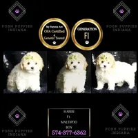 processed/074afcef-7574-4d9d-9caa-7b64469b39ab/listing/bb75ffc4-78f7-428f-a8cb-a6f29703aa56/6ed61393-9695-4992-b332-51aec8cd7f86