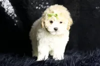 processed/074afcef-7574-4d9d-9caa-7b64469b39ab/listing/bb75ffc4-78f7-428f-a8cb-a6f29703aa56/d6b7654f-2df2-4fb4-b915-579f8f73e90e