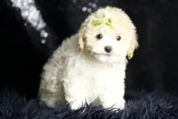 processed/074afcef-7574-4d9d-9caa-7b64469b39ab/listing/bb75ffc4-78f7-428f-a8cb-a6f29703aa56/fdc87d63-faa2-450b-a8e1-32c9b5e71e2b