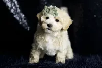 processed/074afcef-7574-4d9d-9caa-7b64469b39ab/listing/e742017c-f64f-4ab2-8967-7900cf6ab403/289aec80-236b-4cab-a18a-daf717b83697