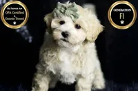 processed/074afcef-7574-4d9d-9caa-7b64469b39ab/listing/e742017c-f64f-4ab2-8967-7900cf6ab403/6569d1b5-75a8-4a45-8b58-3c07b2cdae97