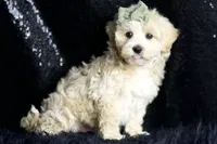 processed/074afcef-7574-4d9d-9caa-7b64469b39ab/listing/e742017c-f64f-4ab2-8967-7900cf6ab403/aa5c73ec-3ef0-4af8-bac1-d09ed54eb8eb