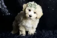 processed/074afcef-7574-4d9d-9caa-7b64469b39ab/listing/e742017c-f64f-4ab2-8967-7900cf6ab403/ae067623-0876-4a7f-bc14-f9ccfa279198