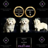 processed/074afcef-7574-4d9d-9caa-7b64469b39ab/listing/e742017c-f64f-4ab2-8967-7900cf6ab403/cf2c0fab-aa78-4fe8-a3ac-458da2d194ea