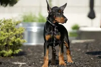 processed/074afcef-7574-4d9d-9caa-7b64469b39ab/listing/eb762042-892c-423c-9ed1-05b69b610eaa/d7cd9d2c-57d1-4735-bf4d-f0a31ffcc319