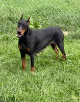 processed/074afcef-7574-4d9d-9caa-7b64469b39ab/listing/eb762042-892c-423c-9ed1-05b69b610eaa/e289067c-9643-4797-affe-b4f3d2ca0cf3