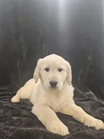 processed/074f7dea-e3b7-409e-86be-962d1e8119e6/listing/8efc9d82-3834-4b5d-ba94-72173d6e030a/0d2a66a6-d01a-4720-b095-32eb9900fe11