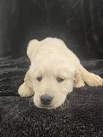 processed/074f7dea-e3b7-409e-86be-962d1e8119e6/listing/8efc9d82-3834-4b5d-ba94-72173d6e030a/17f045ae-012b-4f16-b325-d5a308851647