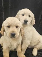 processed/074f7dea-e3b7-409e-86be-962d1e8119e6/listing/8efc9d82-3834-4b5d-ba94-72173d6e030a/21158977-f871-4af0-ba40-5887746ae8fd