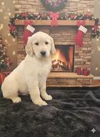 processed/074f7dea-e3b7-409e-86be-962d1e8119e6/listing/8efc9d82-3834-4b5d-ba94-72173d6e030a/8e8f39ac-02e9-4961-a419-18ee9d7d24f7