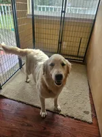 processed/074f7dea-e3b7-409e-86be-962d1e8119e6/listing/8efc9d82-3834-4b5d-ba94-72173d6e030a/8f9cc277-2abe-4e6c-83ec-041e60bd7329