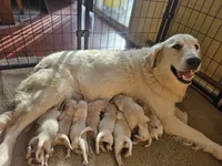 processed/074f7dea-e3b7-409e-86be-962d1e8119e6/listing/8efc9d82-3834-4b5d-ba94-72173d6e030a/c15afd70-47ef-4f34-8560-ae2575d6a4f2