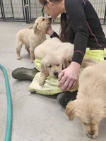 processed/074f7dea-e3b7-409e-86be-962d1e8119e6/listing/8efc9d82-3834-4b5d-ba94-72173d6e030a/c875ae6b-0c80-4105-9c62-a36391903136