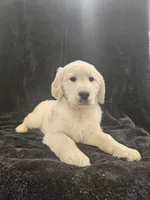 processed/074f7dea-e3b7-409e-86be-962d1e8119e6/listing/8efc9d82-3834-4b5d-ba94-72173d6e030a/cf96283f-f3df-4398-87a3-095cee2be16e