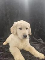 processed/074f7dea-e3b7-409e-86be-962d1e8119e6/listing/8efc9d82-3834-4b5d-ba94-72173d6e030a/d9af9db8-9a28-44c1-b586-c259183ce72d