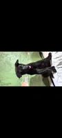 Black , a female German Shepherd Dog for sale in Bloomington, IN – 1 of 2