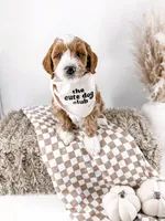 Loaf , a male Miniature Goldendoodle for sale in Russell Springs, KY – 1 of 2