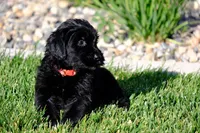 processed/0759e921-1a91-426e-849b-796eb7614b50/facility/3b7f6821-62f8-4d8b-a922-0f42645f0b93