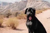 processed/0759e921-1a91-426e-849b-796eb7614b50/facility/6b957206-2330-4134-ac9d-3b4652d21b19