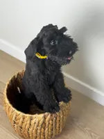 processed/0759e921-1a91-426e-849b-796eb7614b50/facility/7216dd37-5ca7-4081-a117-4f36e656fea3