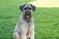 processed/0759e921-1a91-426e-849b-796eb7614b50/facility/742ca20c-1e13-4fa6-ac21-329538744309