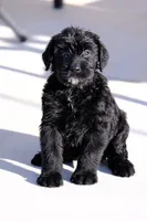 processed/0759e921-1a91-426e-849b-796eb7614b50/facility/7ff181be-dc8c-4424-a5d8-b1fff267d69c