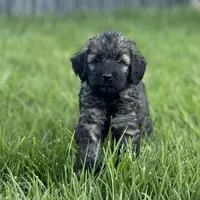 processed/0759e921-1a91-426e-849b-796eb7614b50/facility/93ed8952-51b3-43e6-8ca5-fed4665d5e36