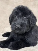 processed/0759e921-1a91-426e-849b-796eb7614b50/facility/c7b50a79-1378-4479-be9e-845d2fbe8f14