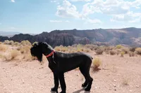 processed/0759e921-1a91-426e-849b-796eb7614b50/facility/d9725321-7133-46a7-a53c-c6eff1d659e7