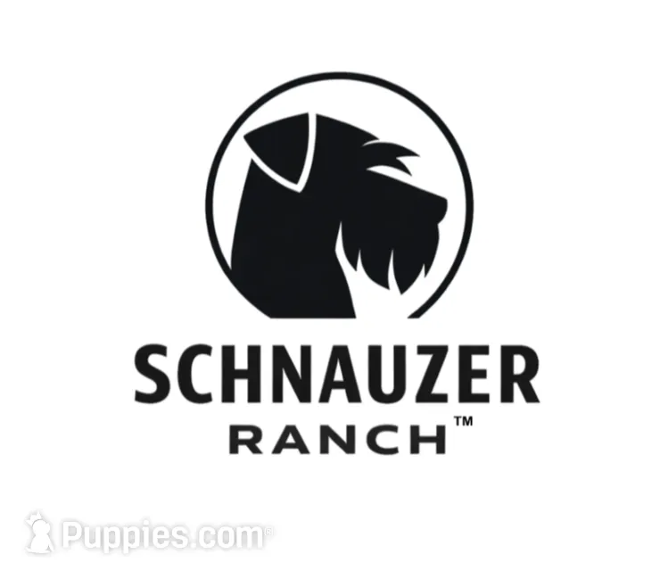 processed/0759e921-1a91-426e-849b-796eb7614b50/facility/e7a73f38-f31d-4d68-b9d2-9da2544d2361