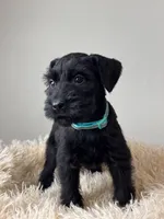 processed/0759e921-1a91-426e-849b-796eb7614b50/listing/1c01552a-6bf6-49d8-a175-693799174a10/2d192ea3-96e4-4354-8b24-603c5052c235