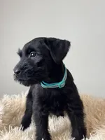 processed/0759e921-1a91-426e-849b-796eb7614b50/listing/1c01552a-6bf6-49d8-a175-693799174a10/4ef7bdc8-3e65-4958-85c8-c8ccc779e368