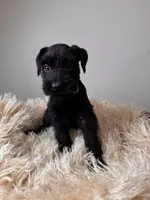 processed/0759e921-1a91-426e-849b-796eb7614b50/listing/1c01552a-6bf6-49d8-a175-693799174a10/7db58186-8c47-49ce-84ab-26866d3acafc