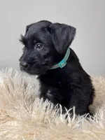 processed/0759e921-1a91-426e-849b-796eb7614b50/listing/1c01552a-6bf6-49d8-a175-693799174a10/afcfa2c9-1d76-4357-89f7-b2c8e71018e9