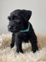 processed/0759e921-1a91-426e-849b-796eb7614b50/listing/1c01552a-6bf6-49d8-a175-693799174a10/ec3ae29a-cc17-4781-9388-58d85043da07