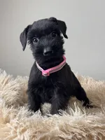 processed/0759e921-1a91-426e-849b-796eb7614b50/listing/5344fd43-33a2-4c22-8aaf-70e2f30f7928/240078ae-ce12-4eee-b209-bfc23a86c2f6