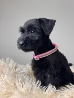 processed/0759e921-1a91-426e-849b-796eb7614b50/listing/5344fd43-33a2-4c22-8aaf-70e2f30f7928/4d6dbfd5-a311-4ea5-bce5-0c1389cd7a25