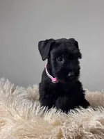 processed/0759e921-1a91-426e-849b-796eb7614b50/listing/5344fd43-33a2-4c22-8aaf-70e2f30f7928/53f38a41-4974-4b64-bfa7-9da3a93445bb