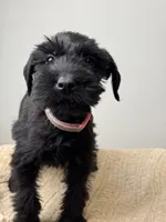 processed/0759e921-1a91-426e-849b-796eb7614b50/listing/5344fd43-33a2-4c22-8aaf-70e2f30f7928/d6d8b1f5-228c-4c81-bd33-1f17c03cb92d