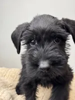 processed/0759e921-1a91-426e-849b-796eb7614b50/listing/5344fd43-33a2-4c22-8aaf-70e2f30f7928/dc96dd44-63a9-41ea-b121-142817eeef3b