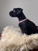 processed/0759e921-1a91-426e-849b-796eb7614b50/listing/5344fd43-33a2-4c22-8aaf-70e2f30f7928/ed1fe84f-17ea-4b4b-9e8c-8d8774412b67