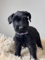 processed/0759e921-1a91-426e-849b-796eb7614b50/listing/d5df0e5f-e8ba-4de0-95ba-a4b9b0ec0979/0469979d-42d5-48a8-be01-29e0f48a11d8