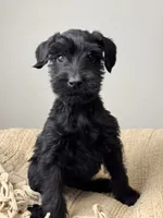 processed/0759e921-1a91-426e-849b-796eb7614b50/listing/d5df0e5f-e8ba-4de0-95ba-a4b9b0ec0979/18c6fcff-dd1d-402e-869e-3e50c8401c9a