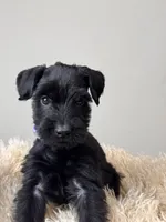 processed/0759e921-1a91-426e-849b-796eb7614b50/listing/d5df0e5f-e8ba-4de0-95ba-a4b9b0ec0979/5292310f-e989-46b3-bb55-8915767ca477