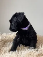 processed/0759e921-1a91-426e-849b-796eb7614b50/listing/d5df0e5f-e8ba-4de0-95ba-a4b9b0ec0979/903b80ed-1d6a-4e6a-b20e-851d6fc78785