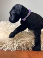 processed/0759e921-1a91-426e-849b-796eb7614b50/listing/d5df0e5f-e8ba-4de0-95ba-a4b9b0ec0979/bdc0f323-c3bf-4646-8afe-ea095f52b3b1